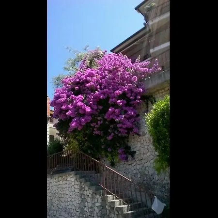 Margherita Διαμέρισμα *